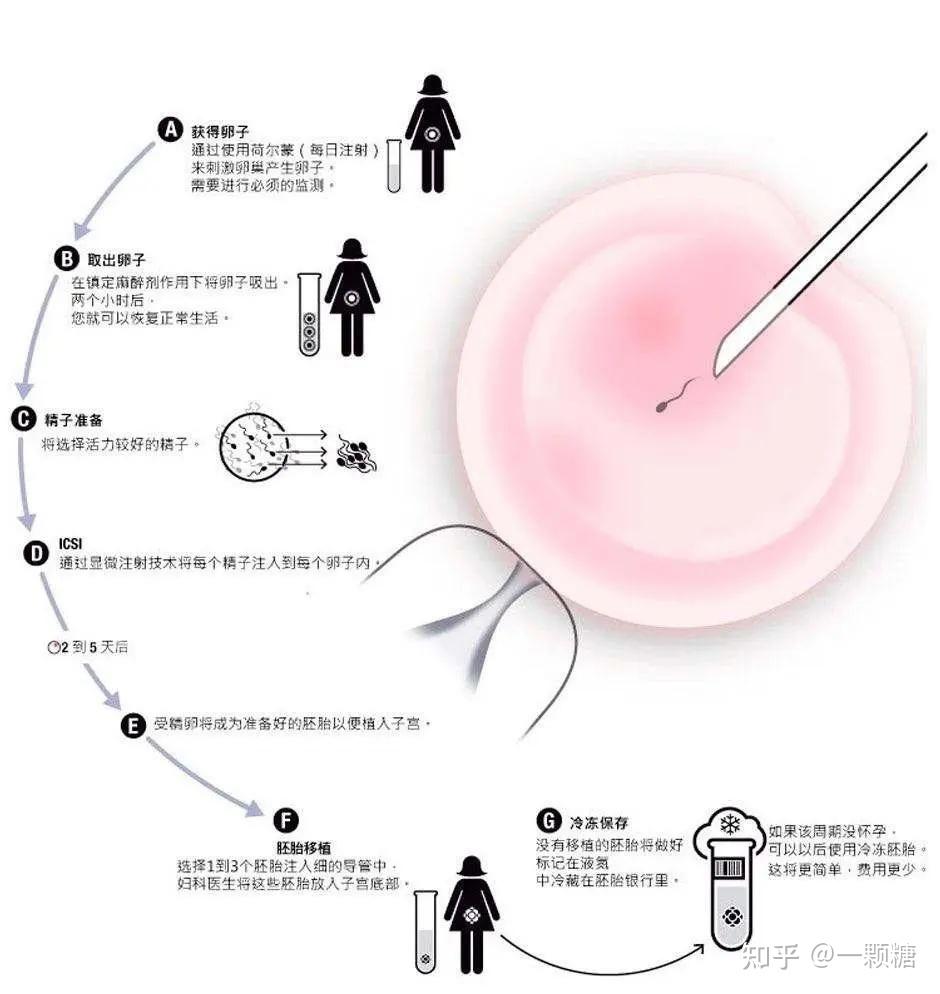 深圳第二代试管婴儿攻略(深圳哪家医院可以做第三代试管婴儿)-第2张图片-鲸幼网