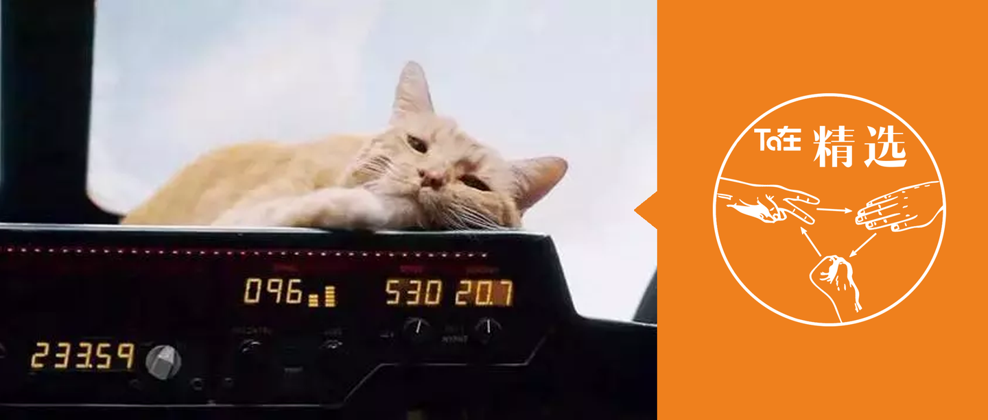 咕咕是只猫电影完整版 v2-5fb88d02546c187bdd03c7fa574f0216_1440w.jpg?source=172ae18b