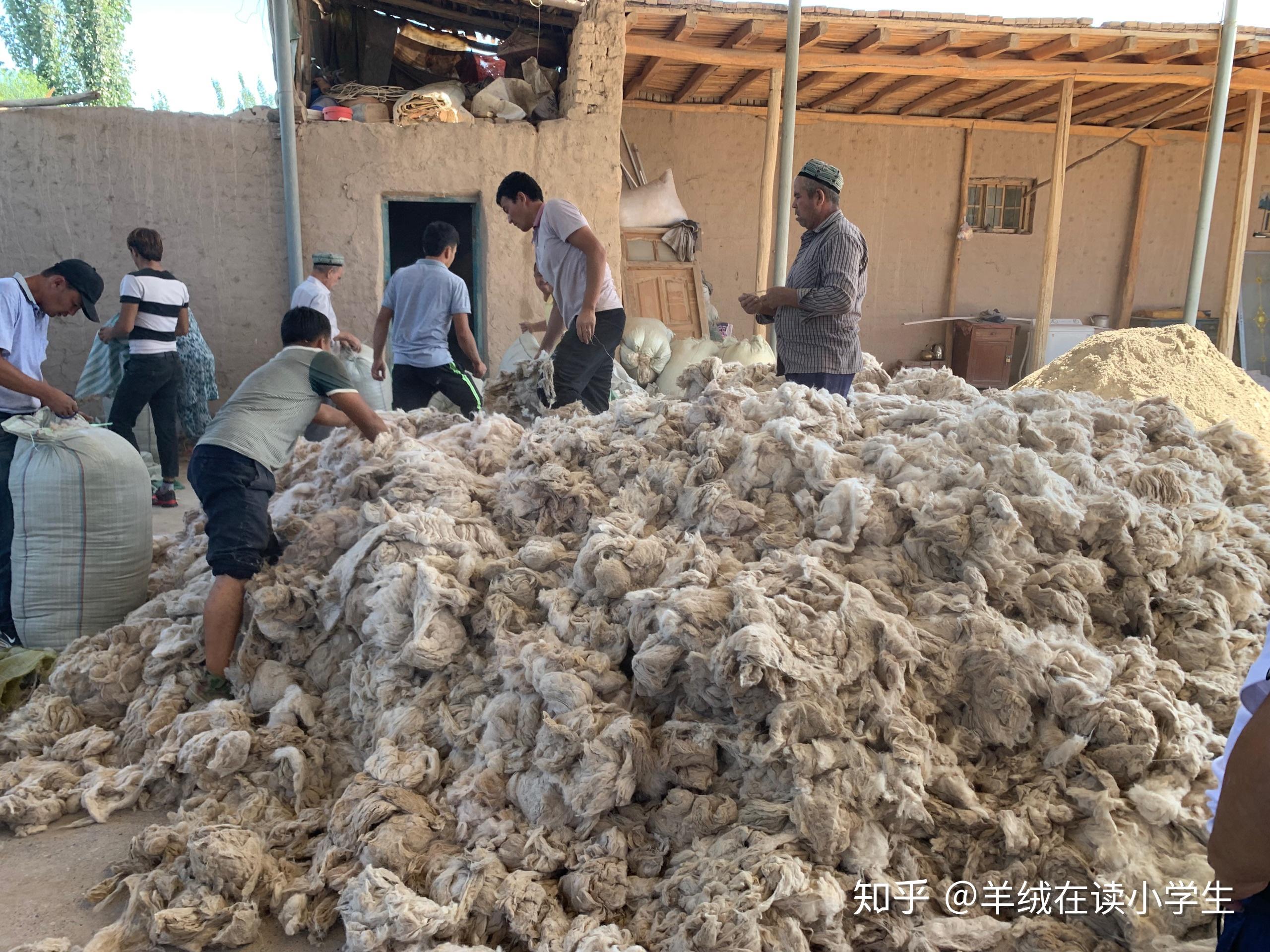 羊绒背后的故事原绒
