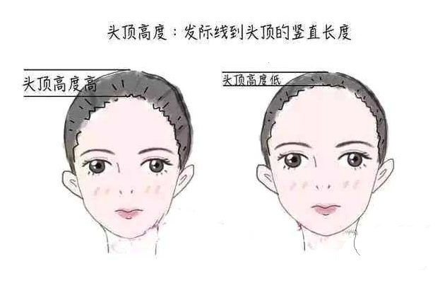 v2-5fcbb12864dac4e8be6a1a41ef1c6451_1200x500.jpg
