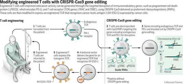 CRISPR-Cas9技术有望实现治愈的几种疾病 - 知乎