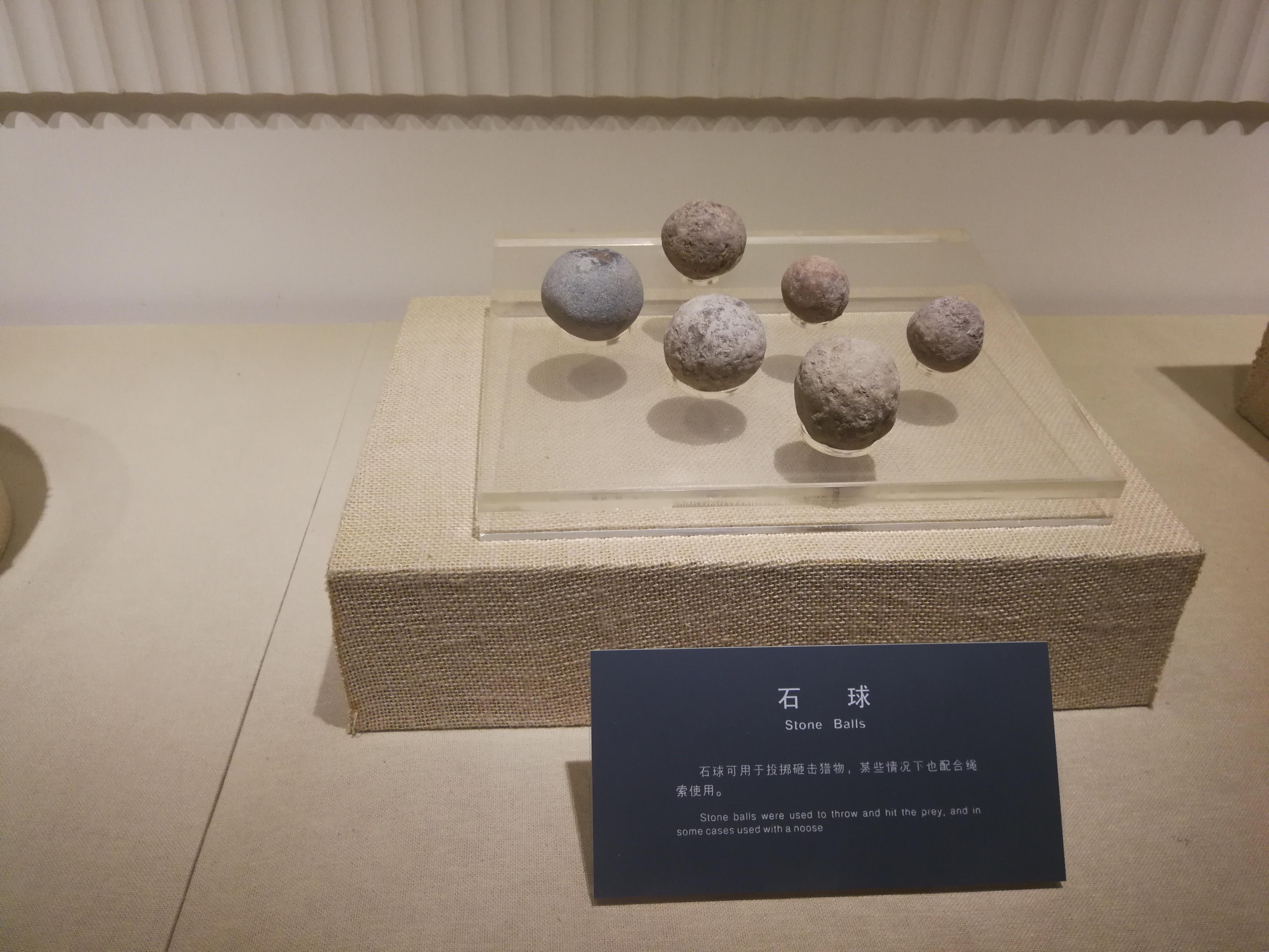 半坡人吃的食物