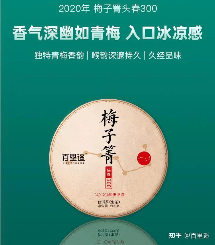 太甜了百里遥2020梅子箐头春古树茶梅子香气盈齿甜滑醉人