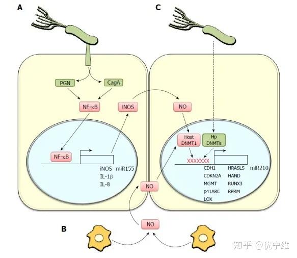 多因子檢測:炎症相關疾病 - 知乎