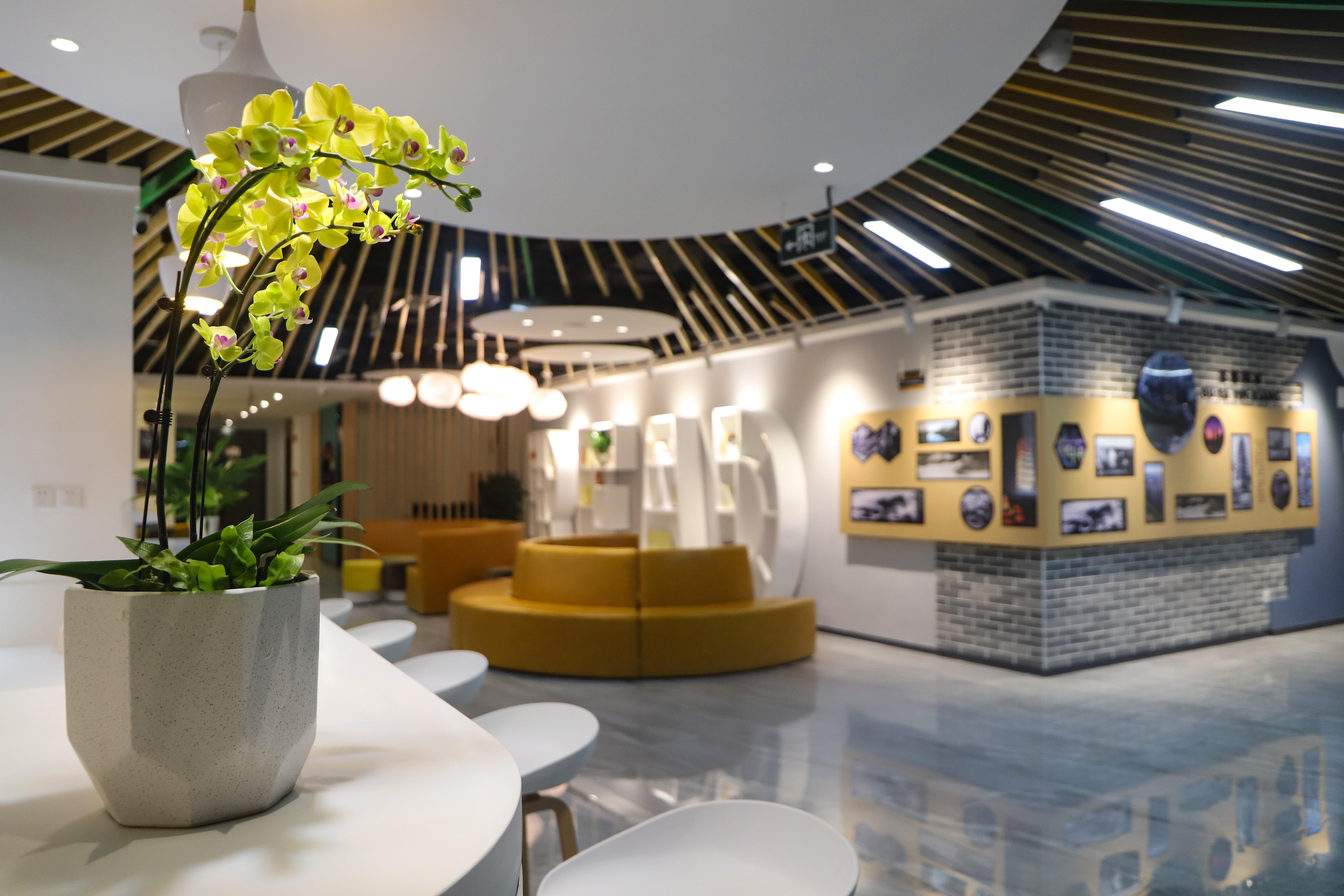 整合优化资源,打造红塔社区和白塔路社区美空间,营造市民群众