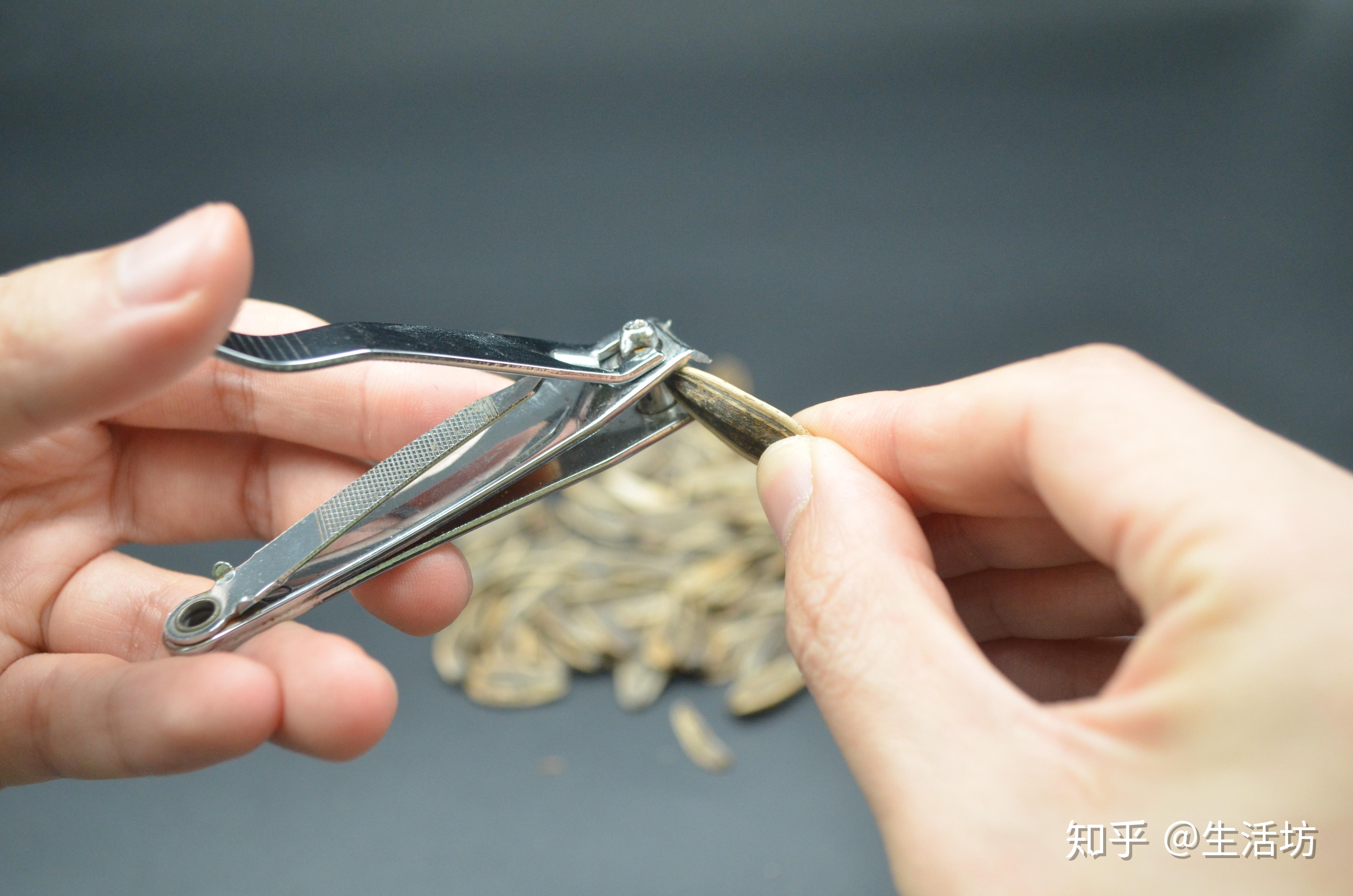 剥瓜子别用手剥一个窗帘挂钩分分钟剥一大盘瓜子涨知识了