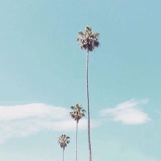 让人心里敞亮的句子,简短精辟,越读越宽心! - 知乎