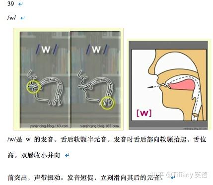 48个国际音标发音舌位图 - 知乎