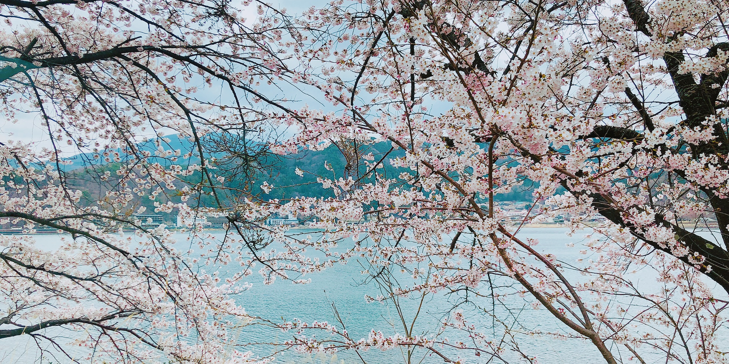 可可子姐姐教英语 知乎