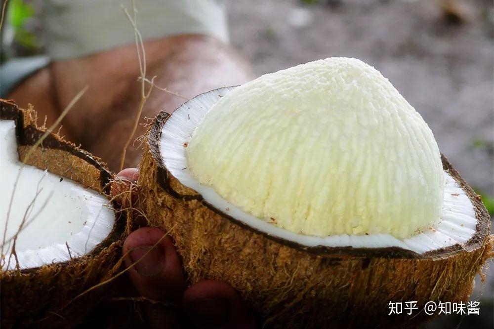 高种椰子常用来生产椰子油,我国三亚种植的大部分椰子都属于高种,最高