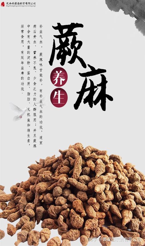 蕨麻的作用及食用方法