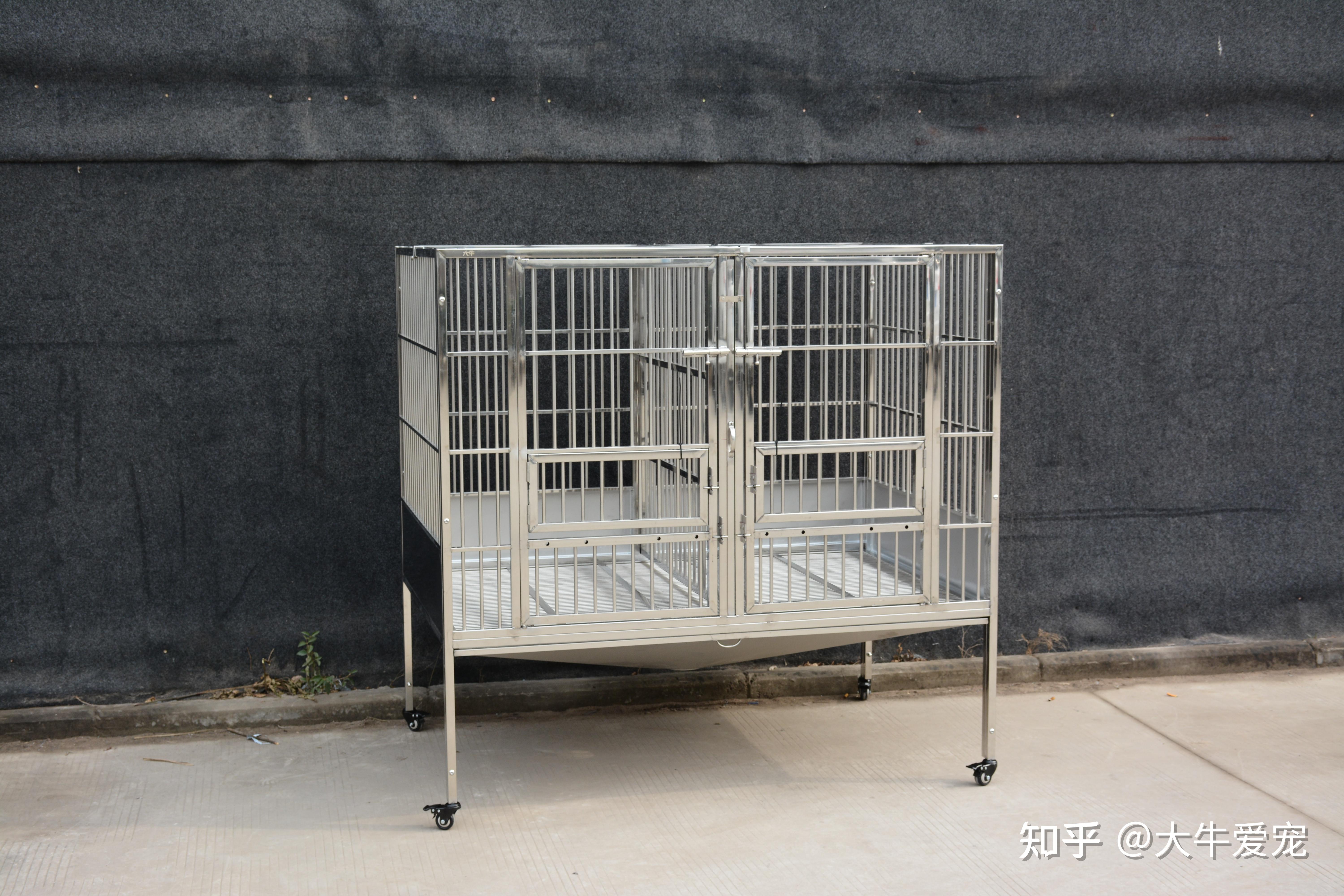 狗狗的笼子越大越好吗 狗笼子如何选择呢 - 知乎
