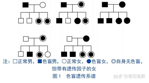 红绿色盲遗传图谱图片