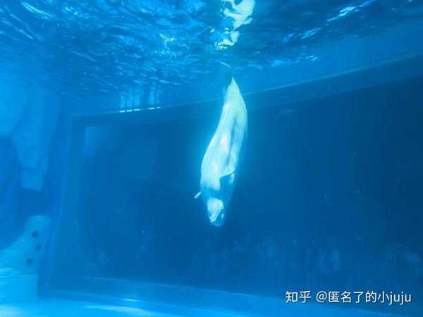 公园5攻略