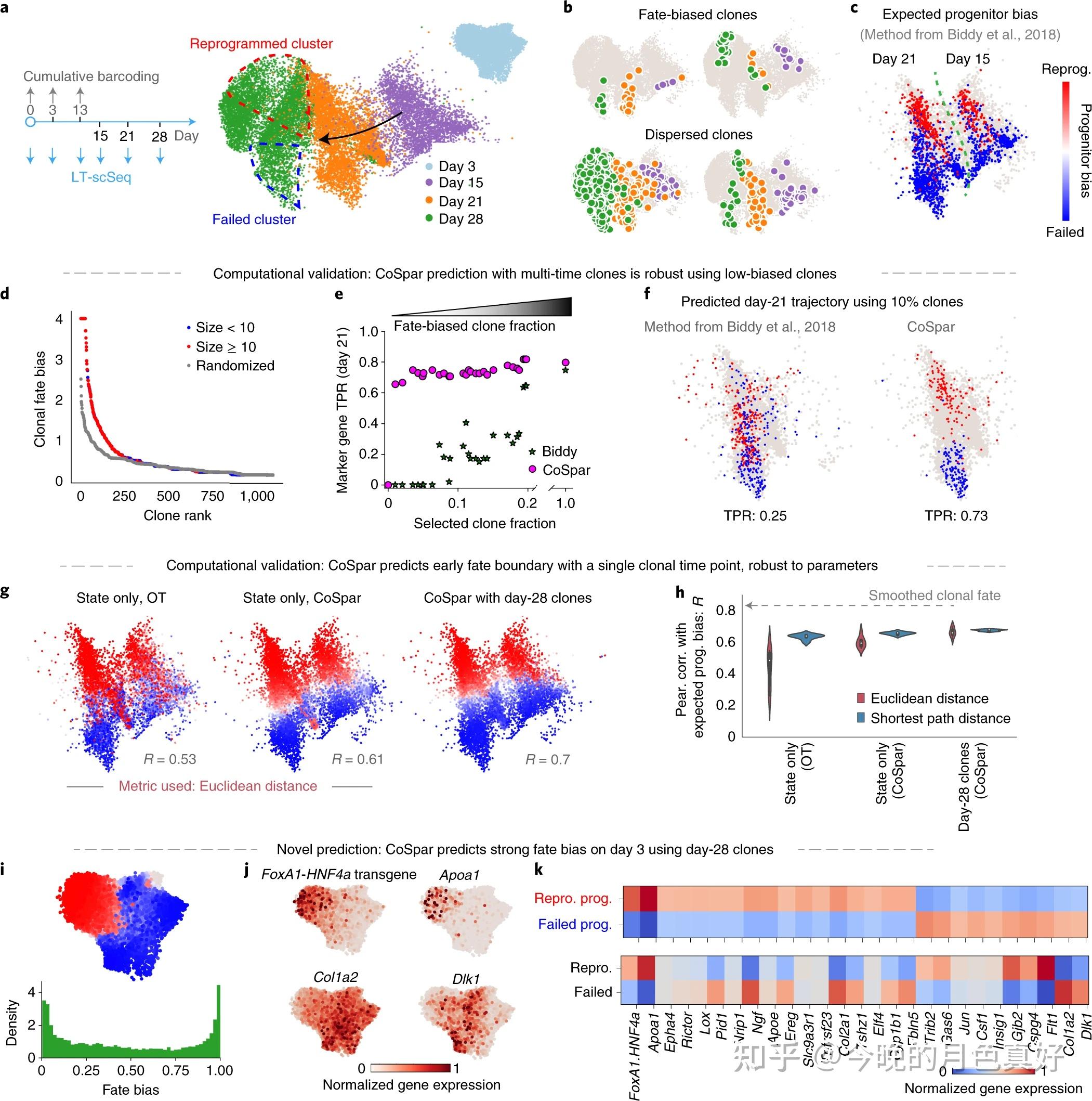 CoSpar identifies early cell fate biases from single-cell ...