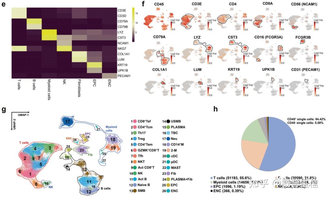 SCI 热门分享| 单细胞转录组联合空间转录组 - 知乎
