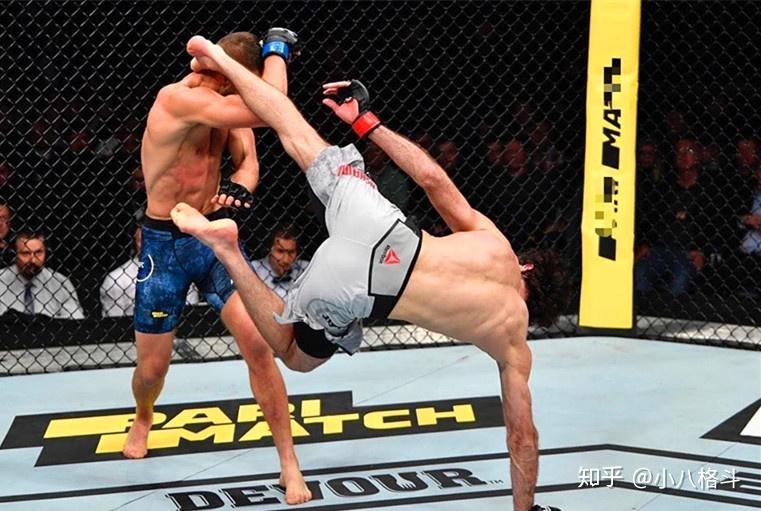 ufc羽量级扎比特