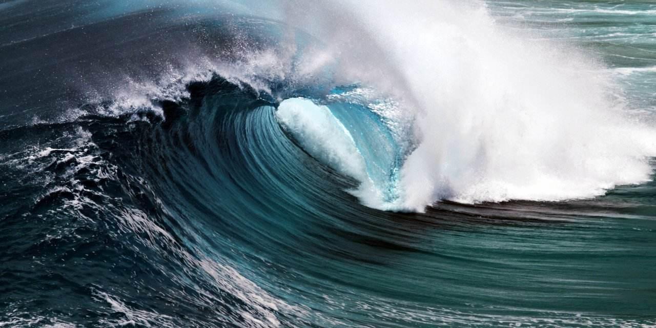 华南标签天下桃李汪洋大海大浪淘沙