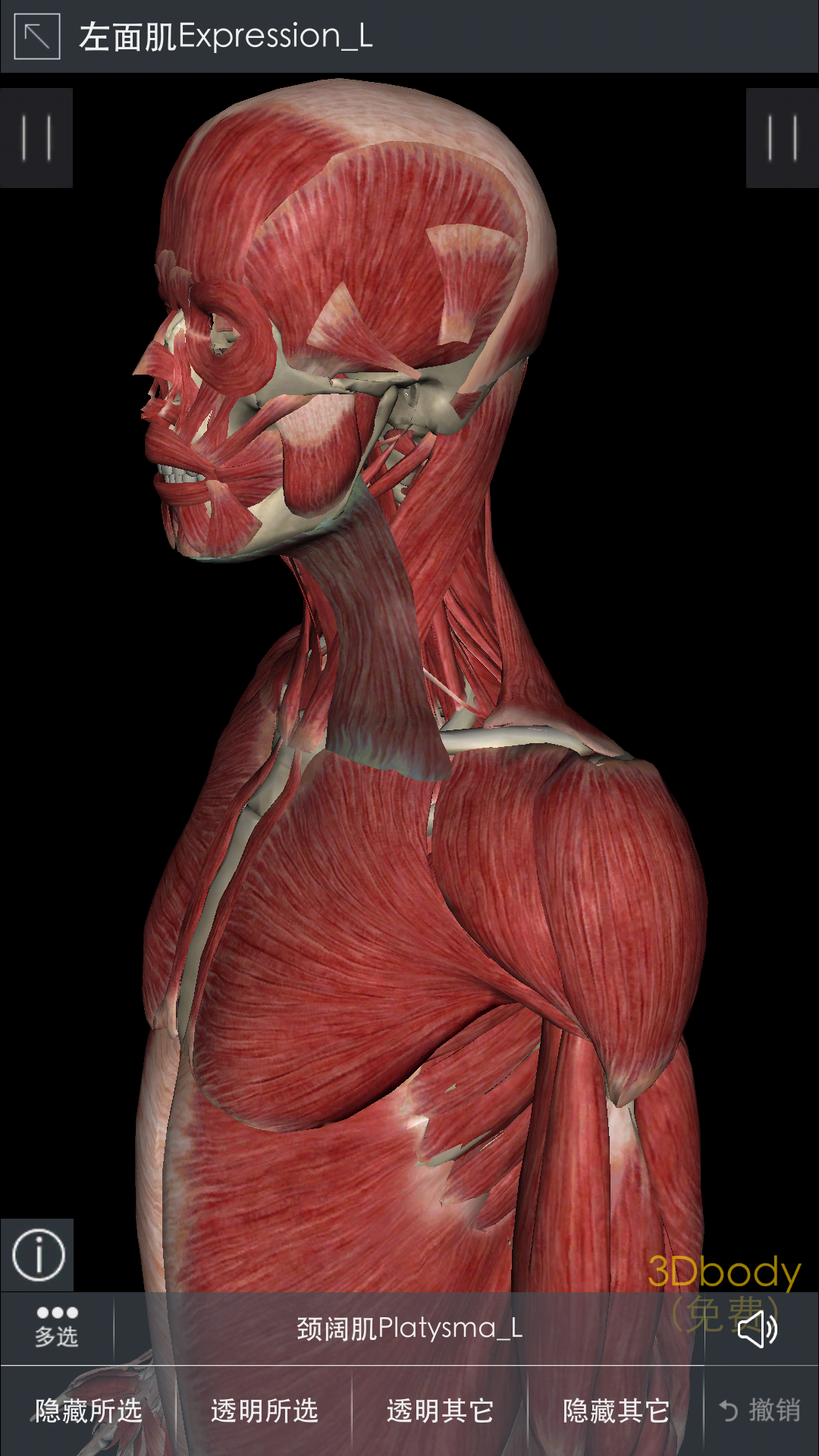 女生健身如何保护关节?