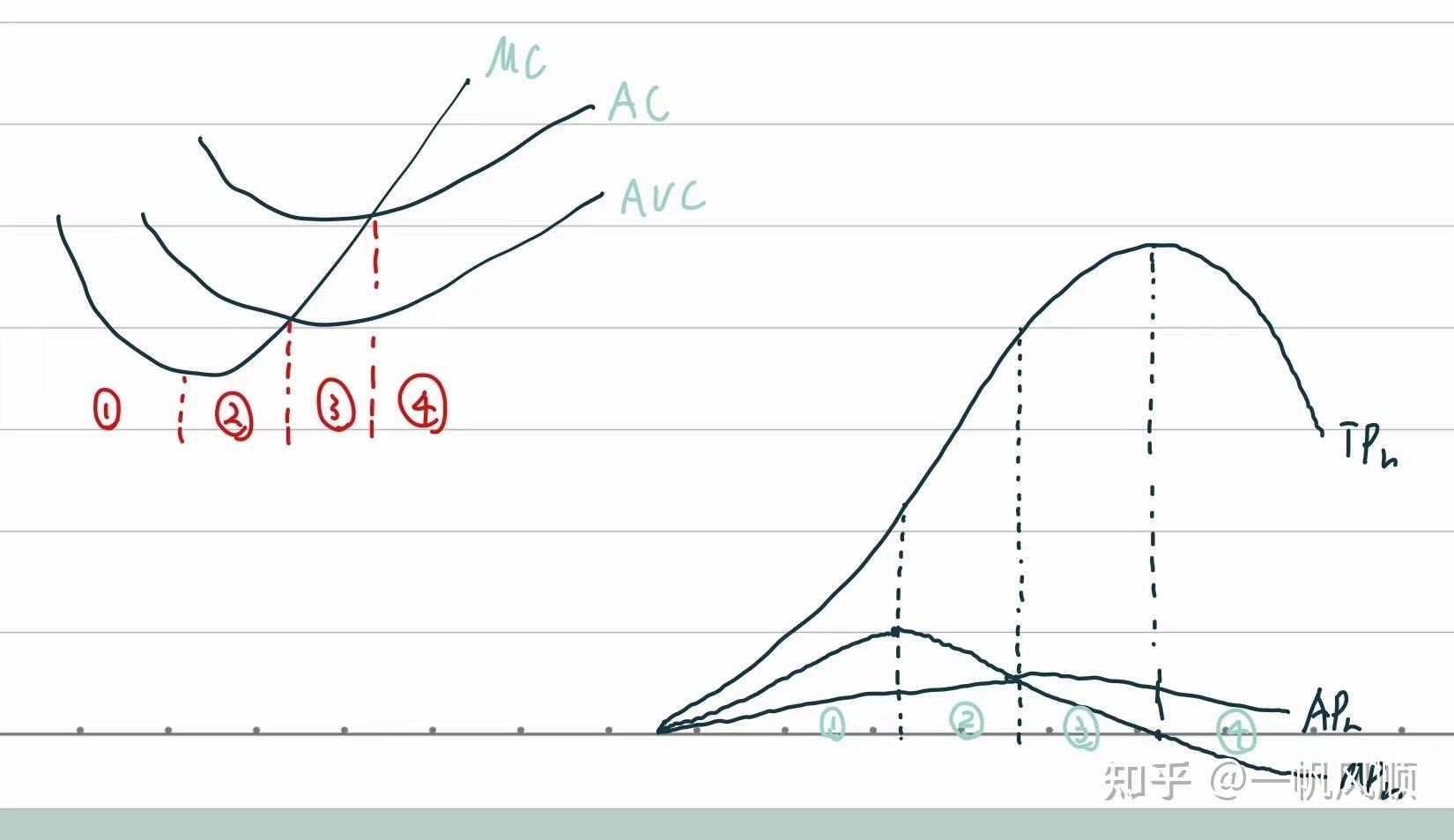 成本曲线和生产曲线关系小结