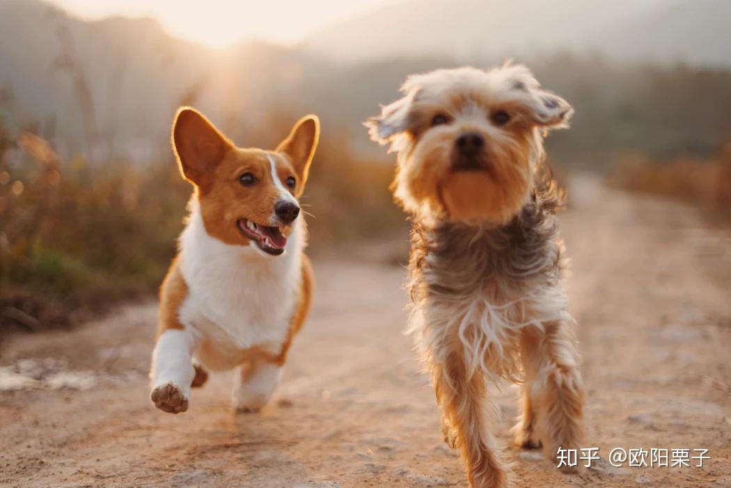 人口密集喷嚏_密集恐惧症图片
