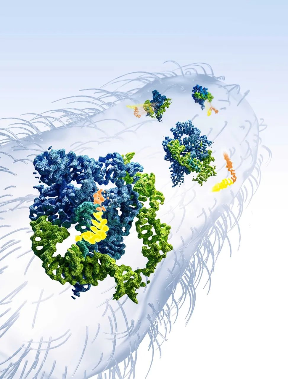 清北川大3篇naturescience同一天發表