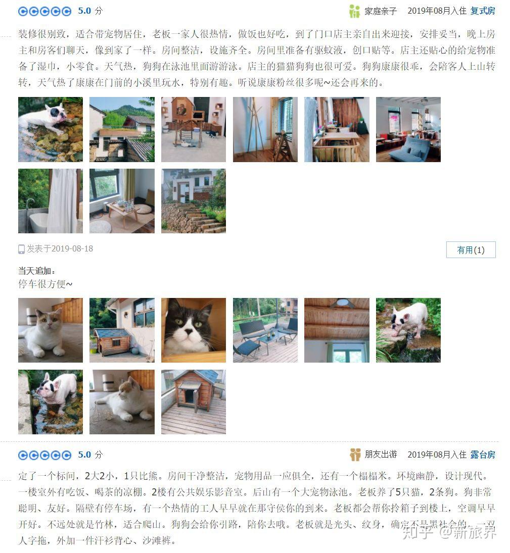 中国有一亿户“铲屎官” 携宠物出游还需解决哪些痛点？ - 知乎