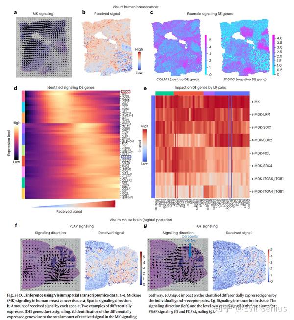 通过空间行为（optimal transport）推断空间细胞间通讯信号方向(COMMOT) - 知乎