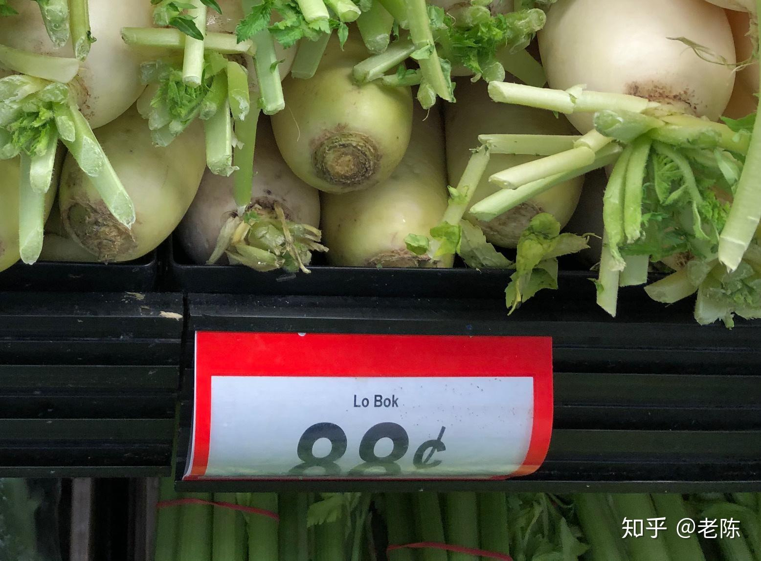 回家后网络查白萝卜英译名称,皆曰 white radish.