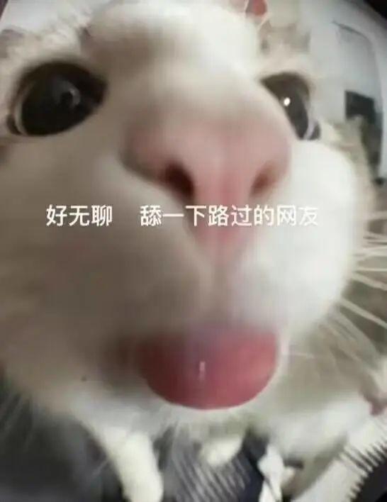 42梗图：好无聊，舔一下路过的网友 - 知乎