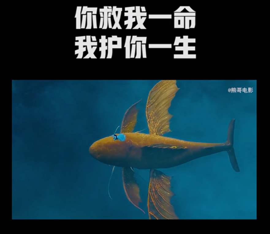 磁力熊电影在线观看影视=磁力熊电影在线观看影视大全高清免费播放