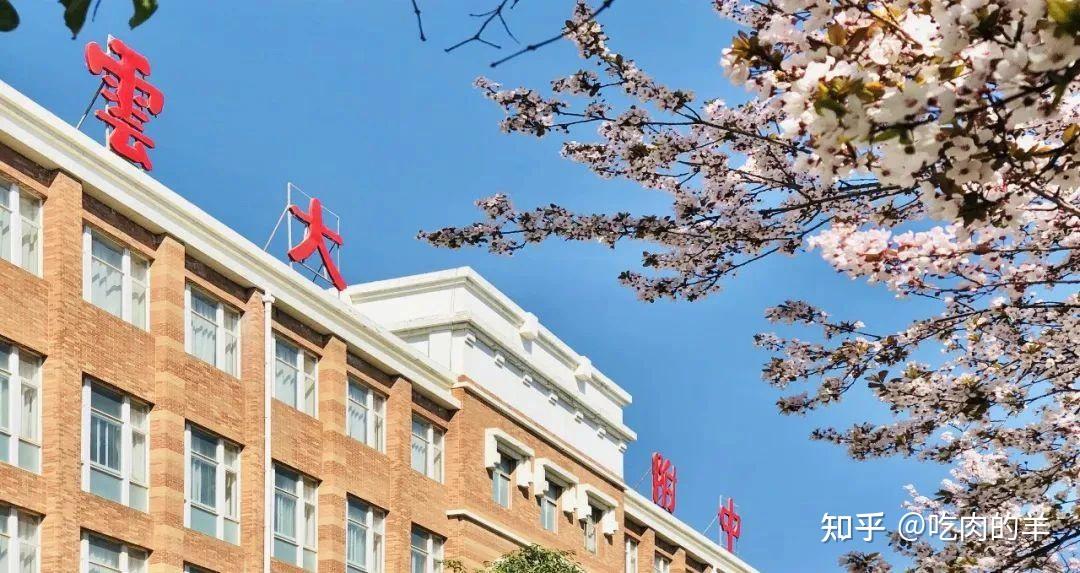 15800/m05起 昆明云大附中附小学位房 在教育双减政策下为孩子多上