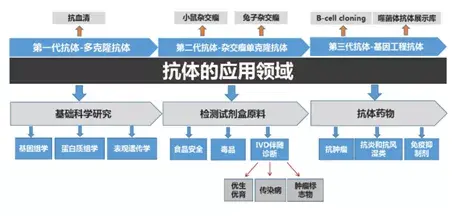 北拓研究體外診斷試劑行業研究報告