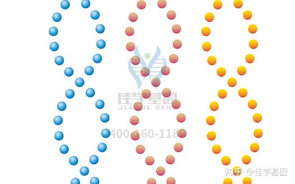 【佳学基因检测】眼白化病和眼皮肤白化病基因检测及临床表现的多病例分析 知乎 