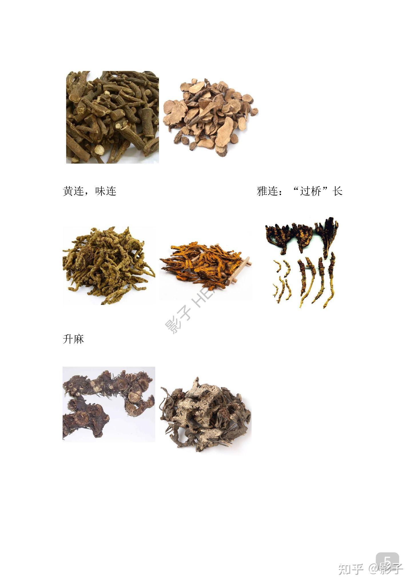 常用中药鉴别及彩图,建议收藏! - 知乎