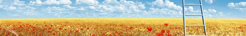 上海教育培训机构注册要求和流程