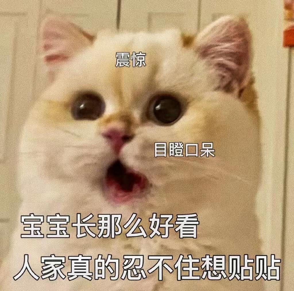 v2-60f6e7e8b4bb288b910ac6d421e7da5c_1440w.jpg?source=172ae18b