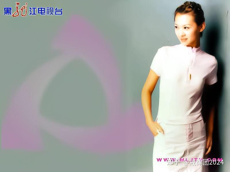 团2024年度黑龙江电视台和河南电视台女明星主持人排名梦幻超级玛丽
