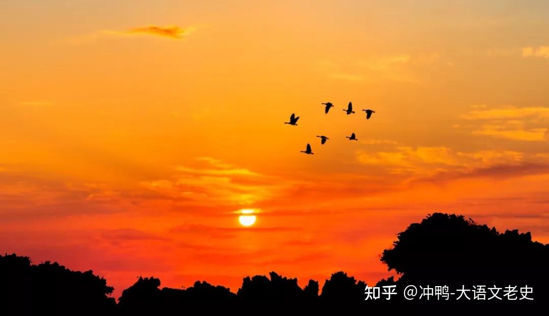 莫道桑榆晚，为霞尚满天 - 知乎
