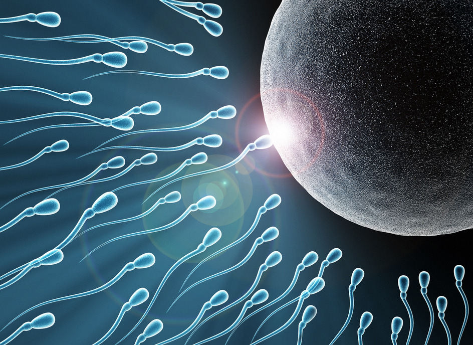 二治疗篇男性不育少精弱精无精症需要怎么治疗少精