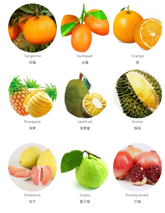 100种水果名字加图片图片