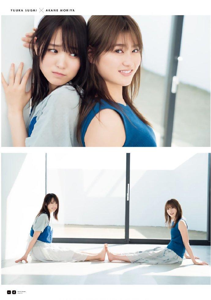 欅坂46   黒い羊　TSUTAYA  直筆サインポスター　菅井友香　守屋茜 8thシングル『黒い羊』リリース記念!対象CDショップチェーンにて