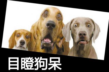 给孩子买保险还是基金定投或者储蓄更合适?