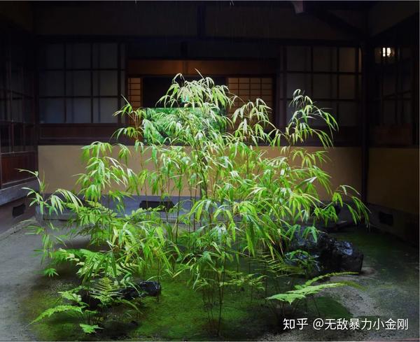 无邻庵 京都庭园大师推荐的庭园你去过了吗 知乎