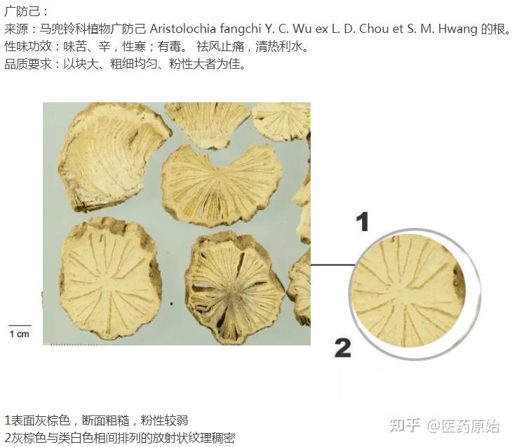 防己显微鉴别图图片