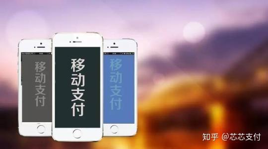 银联支付手机号码不对_银联手机支付_银联支付手机号怎么改