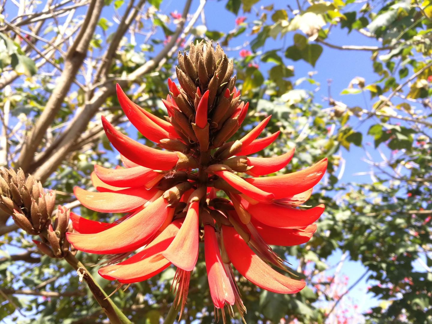 公务员小白问毕业后到离家很远的地方只是为了一个所谓