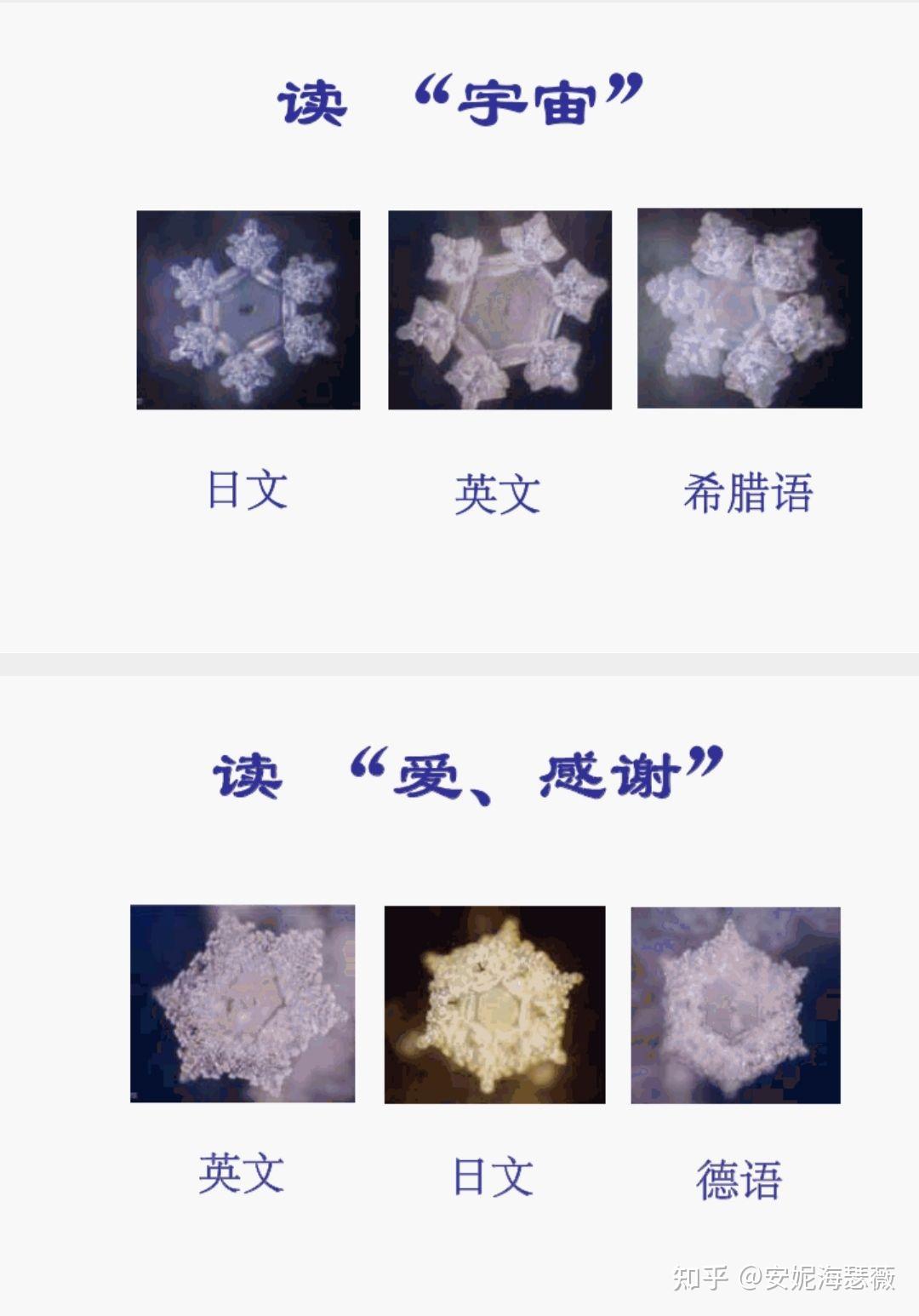 水结晶的形态是由自己的意念确定?