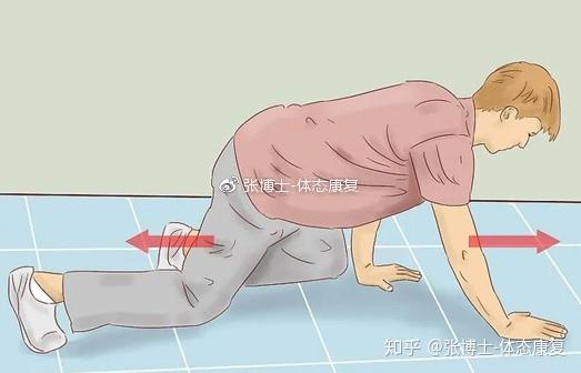 功能训练我们应该怎样学习爬行