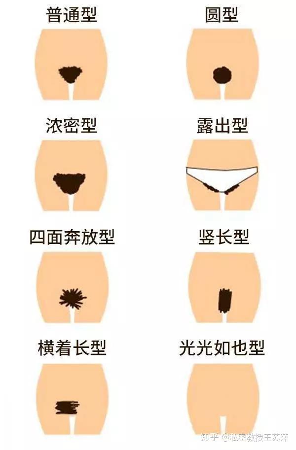 女性私密阴毛都长什么样子 知乎